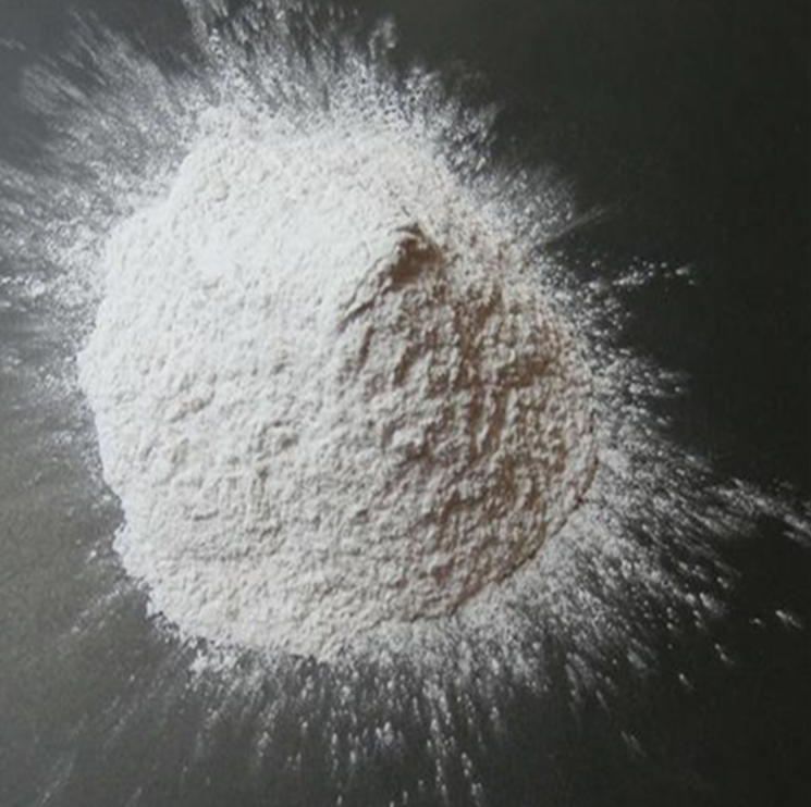 ���������X��